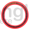 Aerobie Pro Ring 13"